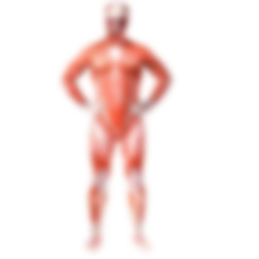 Muscle Man Costumes - Anime - 1