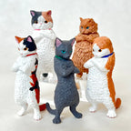 ZUN!! ATTITUDE CAT FIGURINE BLIND BOX (1 Blind Box)