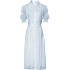 Blue Retro Lantern Sleeve Midi Dress - All Dresses - Midi Dress - 4