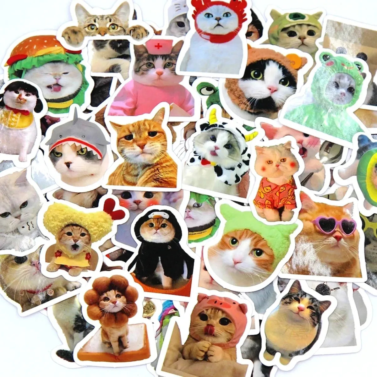 Cute Funny Cat Sticker Pack (10–100pcs) - Stationery & More - Sticker / Decal - 6