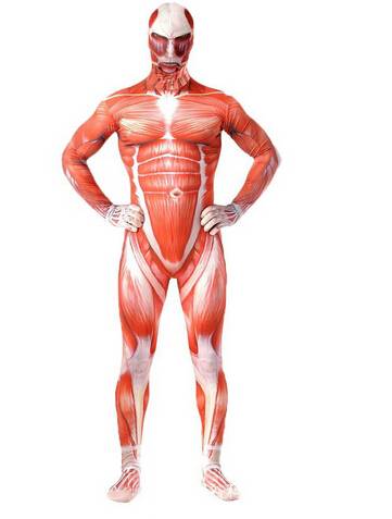 Muscle Man Costumes - Anime - Costumes - 1 - 2024