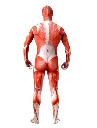 Muscle Man Costumes - Anime - Costumes - 4 - 2024