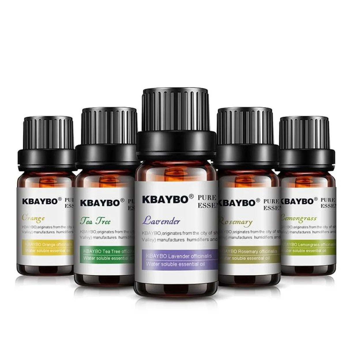Essential Oils 6 Pcs Set - Beauty & Health - 6