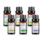 Essential Oils 6 Pcs Set - Beauty & Health - 5