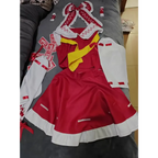 Hakurei Reimu Touhou Cosplay Costume Set with Wig - Dresses - Cosplay - 7