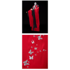 Hanfu Cosplay Robe Dress - All Dresses - Cosplay - 14