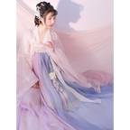 Hanfu Skirt Set - Complete with Embroidery Details - Bottoms - 1