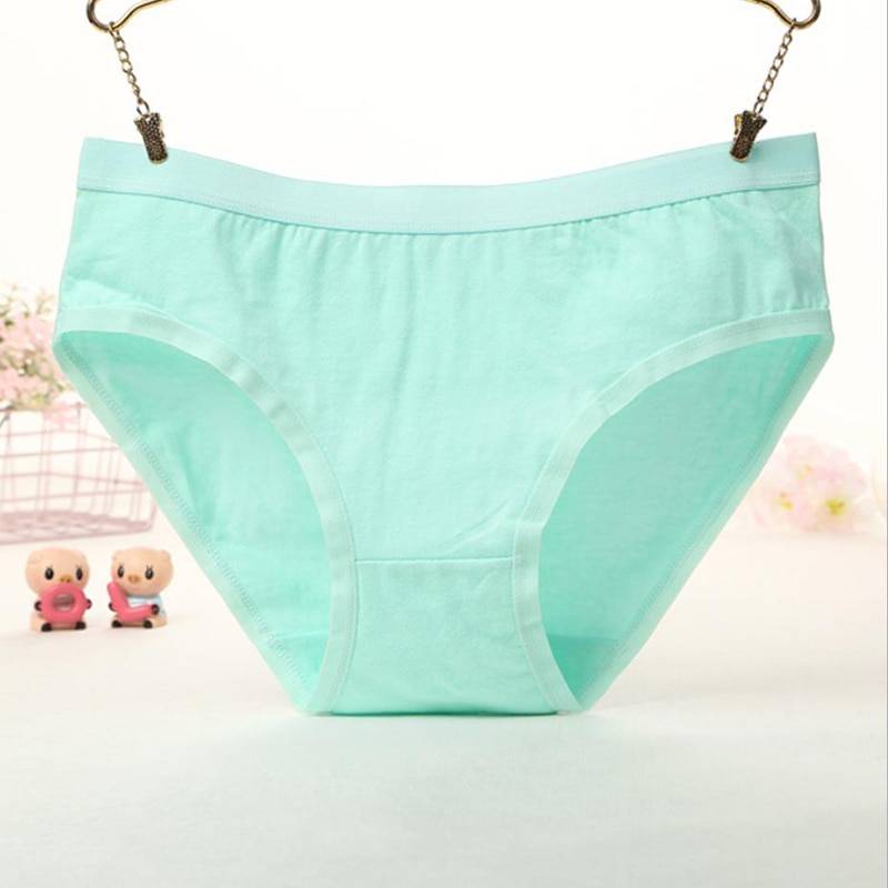 Kawaii Briefs - Women’s Clothing & Accessories - Underwear - 16 - 2024