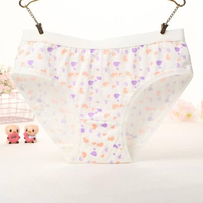 Kawaii Briefs - Women’s Clothing & Accessories - Underwear - 22 - 2024