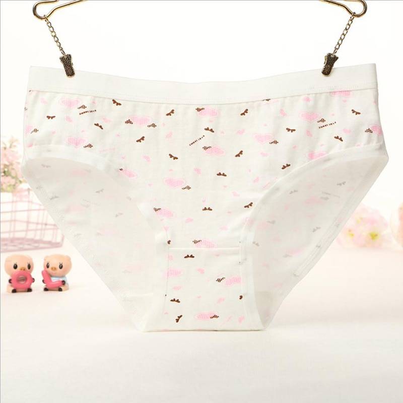 Kawaii Briefs - Women’s Clothing & Accessories - Underwear - 24 - 2024