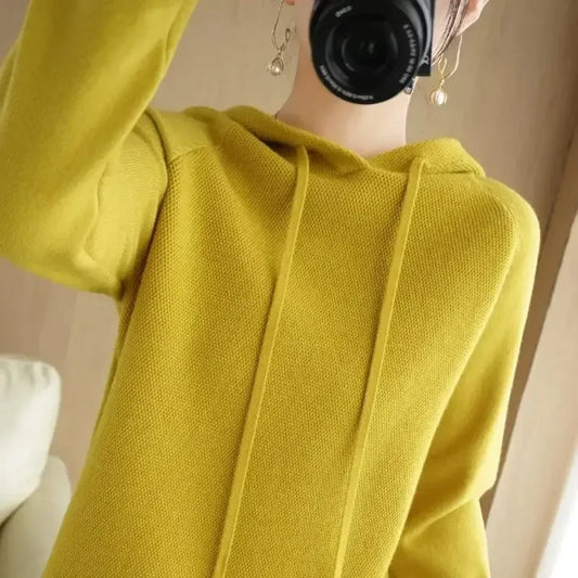Korean Knit Hooded Pullover Sweater - Sweaters - Sweater / Pullover - 2