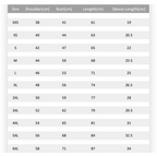 Kpop Demon Hunter RUMI Graphic Tee - T-Shirts - T-Shirt - 2