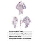 Long Ear Bunny Plushie - Toys - 11