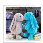 Long Ear Bunny Plushie - Toys - 12