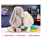 Long Ear Bunny Plushie - Toys - 9