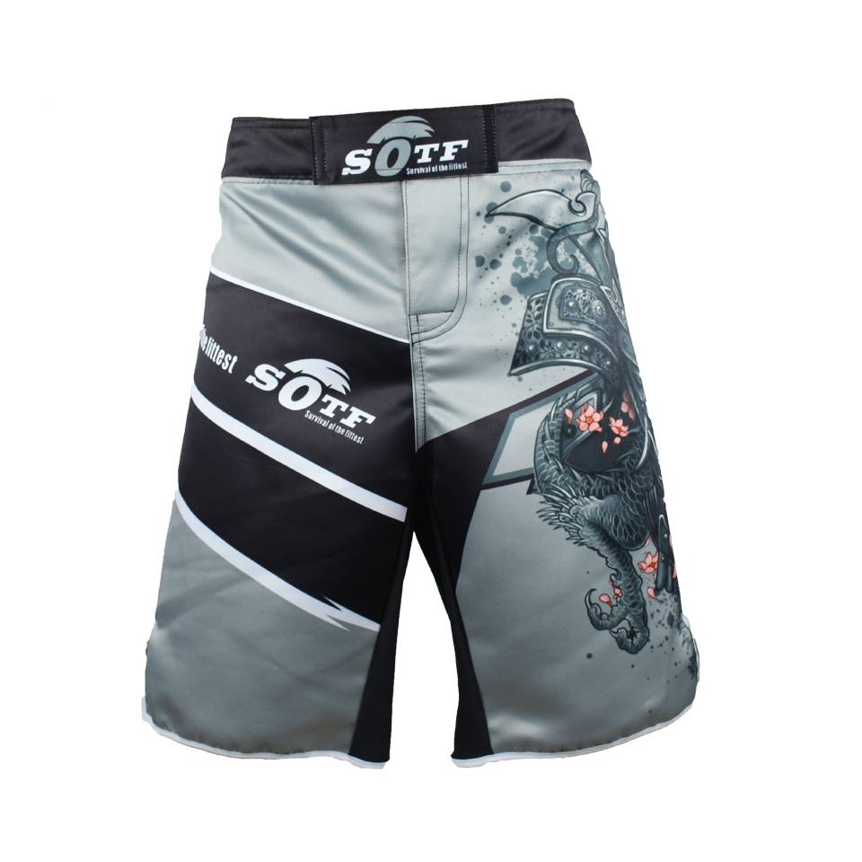 MMA Kickboxing Shorts - Shorts - Shirts & Tops - 3 - 2024