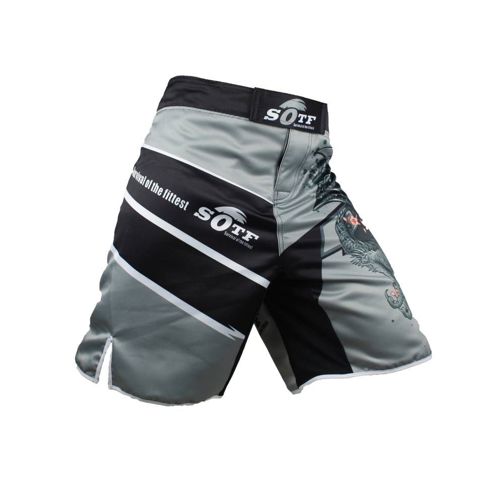 MMA Kickboxing Shorts - Shorts - Shirts & Tops - 4 - 2024