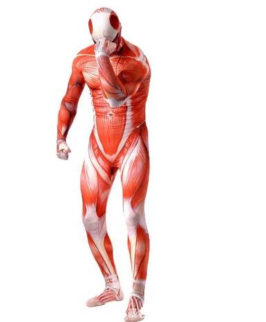 Muscle Man Costumes - Anime - Costumes - 2 - 2024