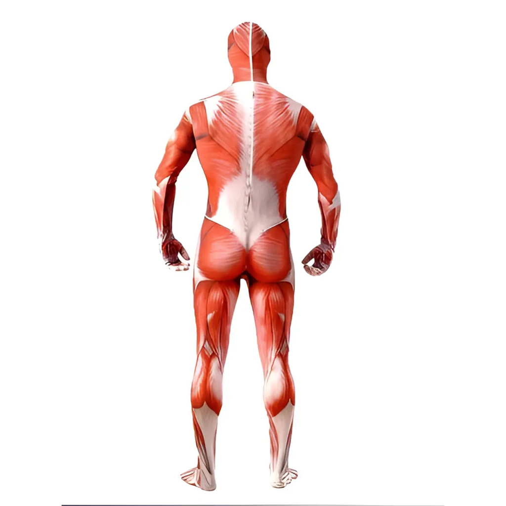 Muscle Man Costumes - Anime - 4