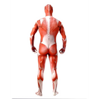 Muscle Man Costumes - Anime - 4