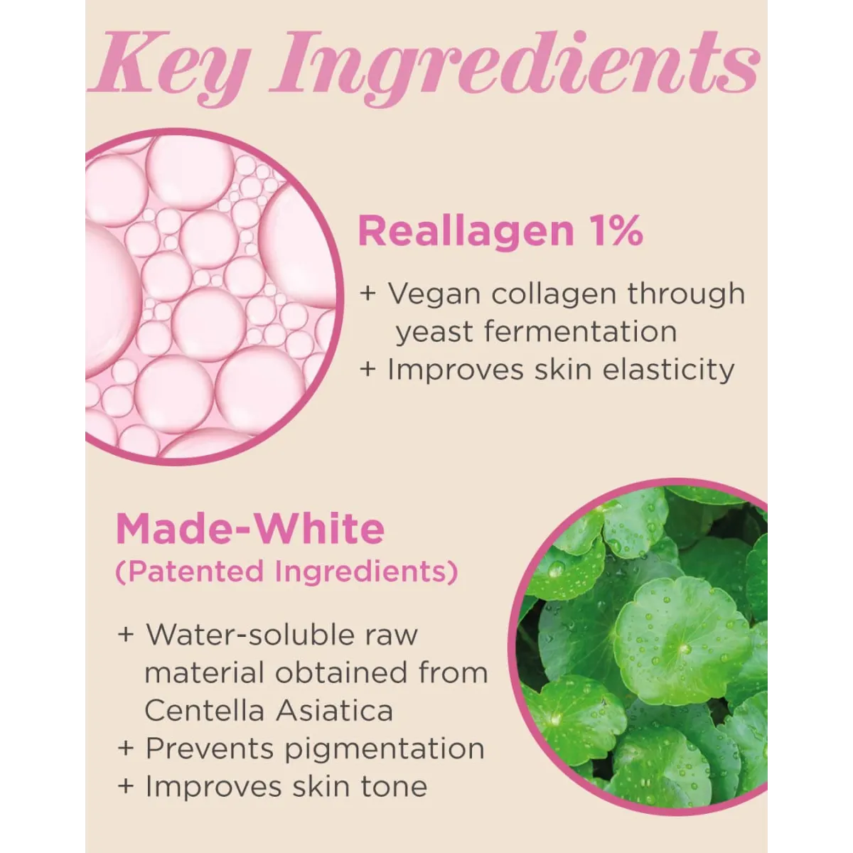 Vegan Again Radiance Contour Stick (Highlighter) - Best Sellers - Primer - 5