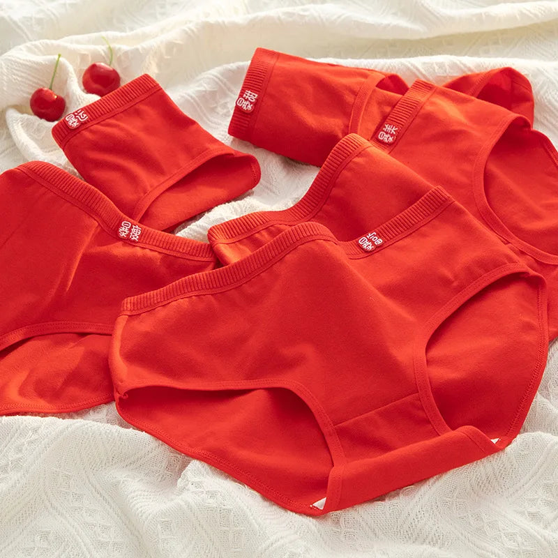 Cute Cartoon Bear Cotton Panties - Mid Waist Sexy Lingerie Set - 122404 / M / CHINA | 5pcs - Sexy Lingerie - Underwear