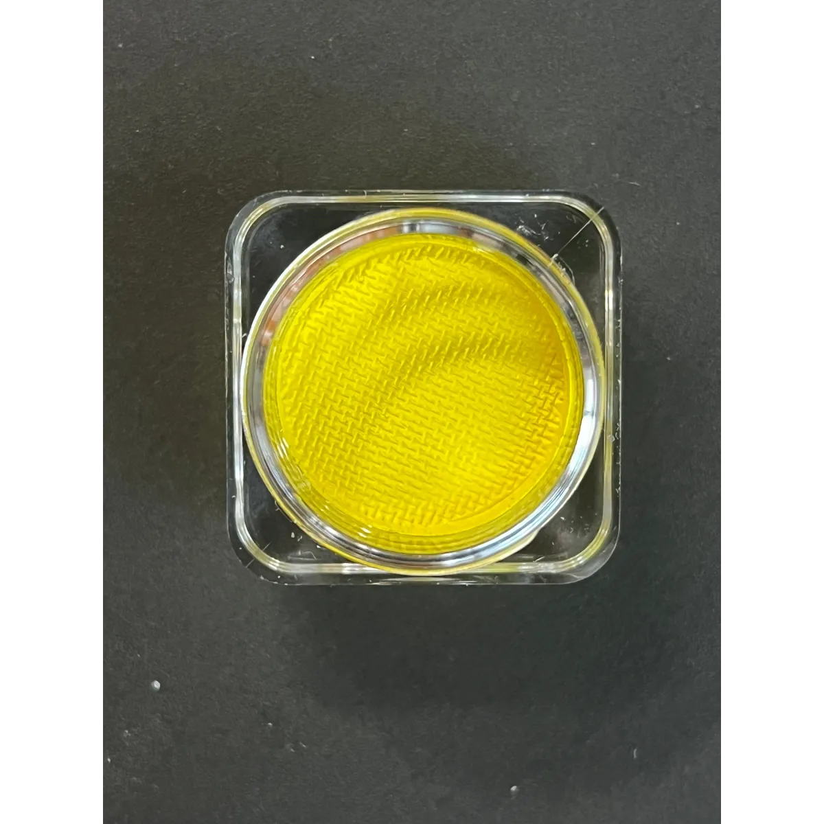 Aureolin Shiny Yellow Water Activated Liner - Harajuku Style - Cosmetics - 2