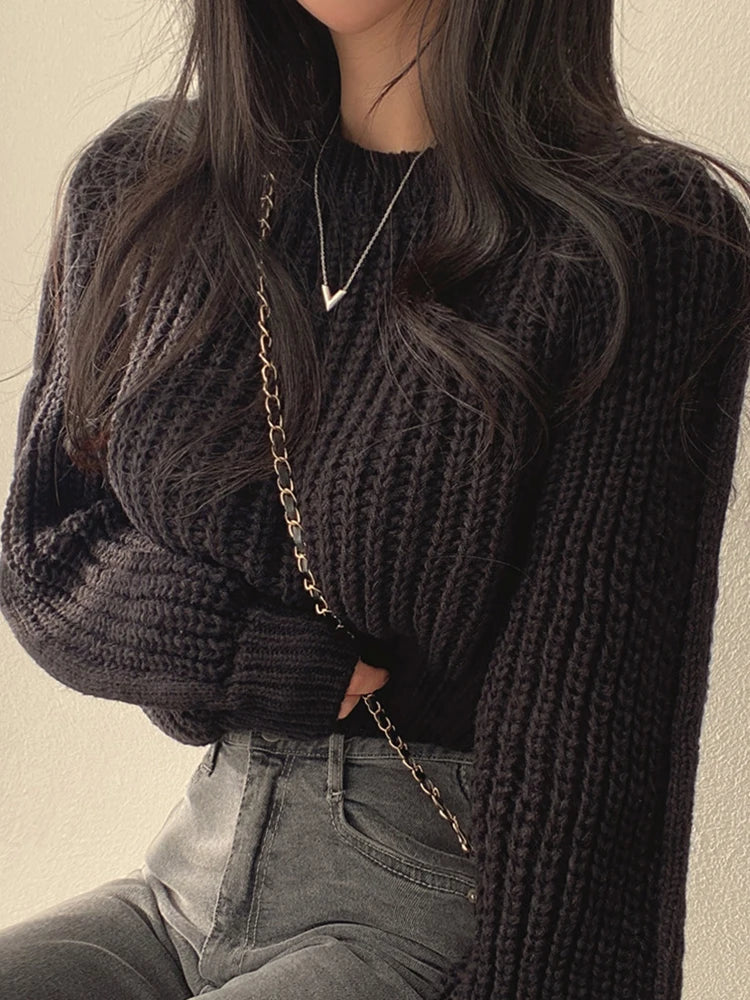 Lantern Long Sleeve Sweater - Vintage Korean Chic Fashion - Black / One Size - Sweaters - Shirts & Tops - 10 - 2024