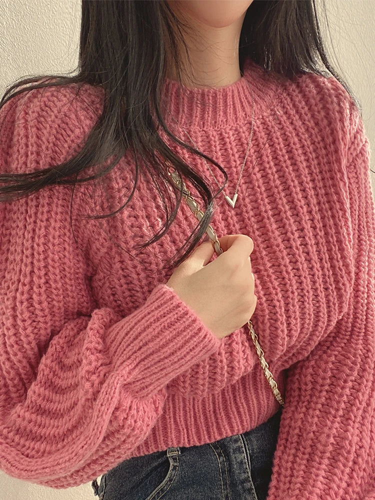 Lantern Long Sleeve Sweater - Vintage Korean Chic Fashion - Pink / One Size - Sweaters - Shirts & Tops - 7 - 2024