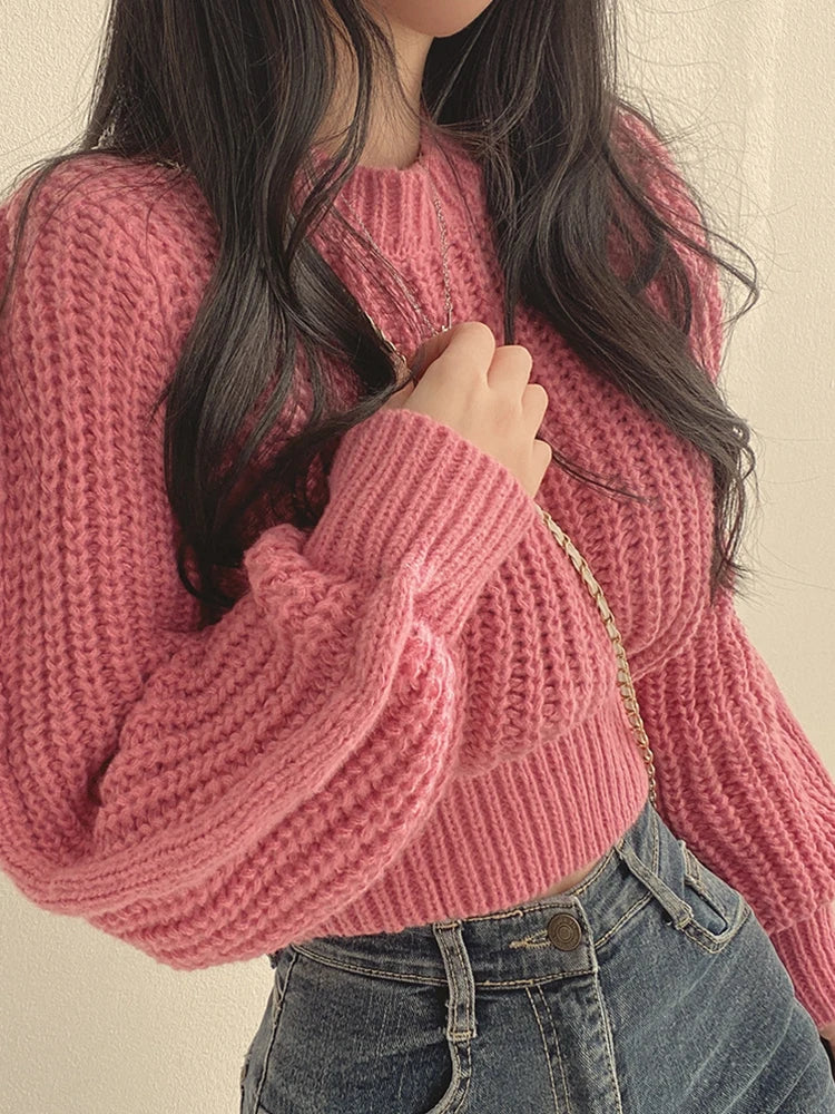 Lantern Long Sleeve Sweater - Vintage Korean Chic Fashion - Sweaters - Shirts & Tops - 4 - 2024