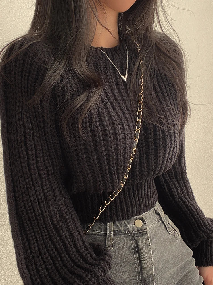 Lantern Long Sleeve Sweater - Vintage Korean Chic Fashion - Sweaters - Shirts & Tops - 6 - 2024