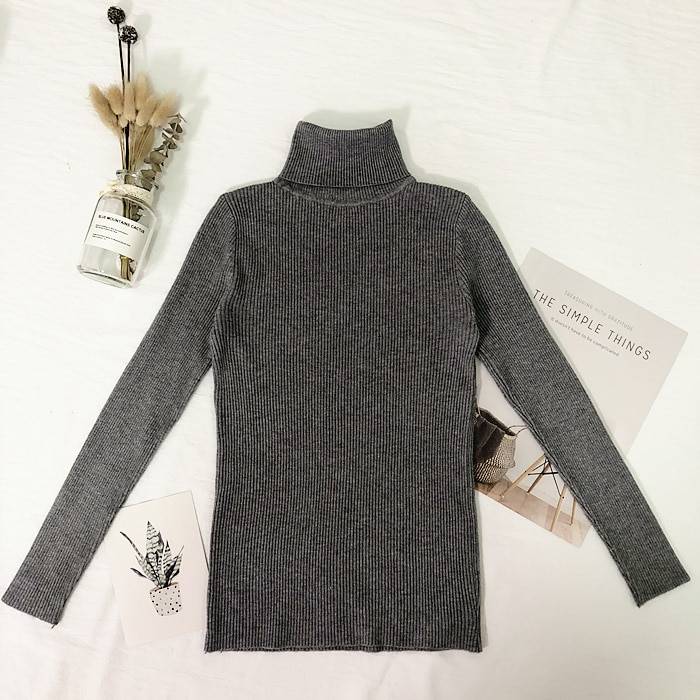 Solid Color Turtleneck Sweater - Gray / Free - Sweaters - Shirts & Tops - 12 - 2024