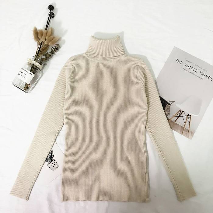 Solid Color Turtleneck Sweater - Beige / Free - Sweaters - Shirts & Tops - 14 - 2024