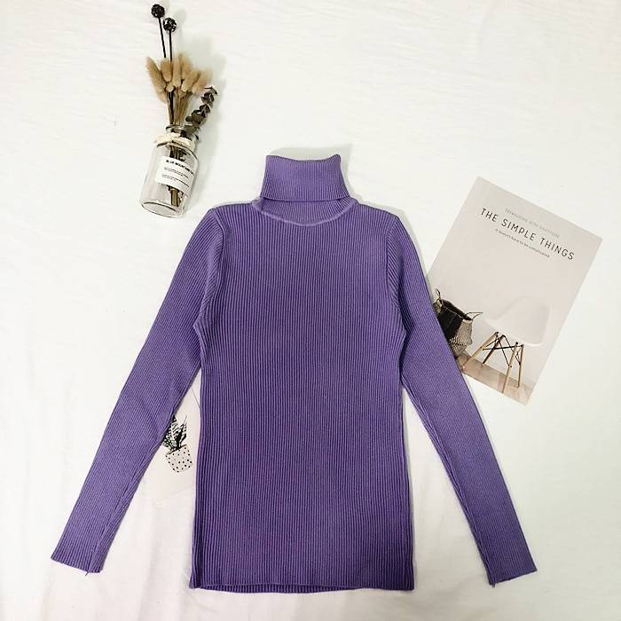 Solid Color Turtleneck Sweater - Purple / Free - Sweaters - Shirts & Tops - 11 - 2024