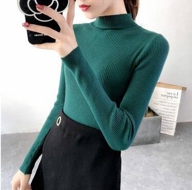 Solid Turtleneck Sweater - Green / L - Sweaters - Shirts & Tops - 26 - 2024