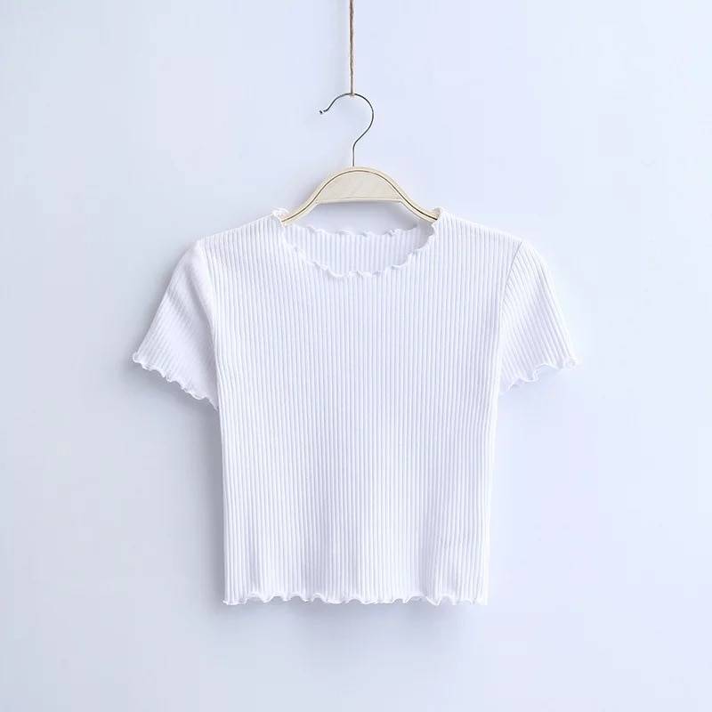 Ruffle Trim Crop Top - T-Shirts - Clothing - 11 - 2024