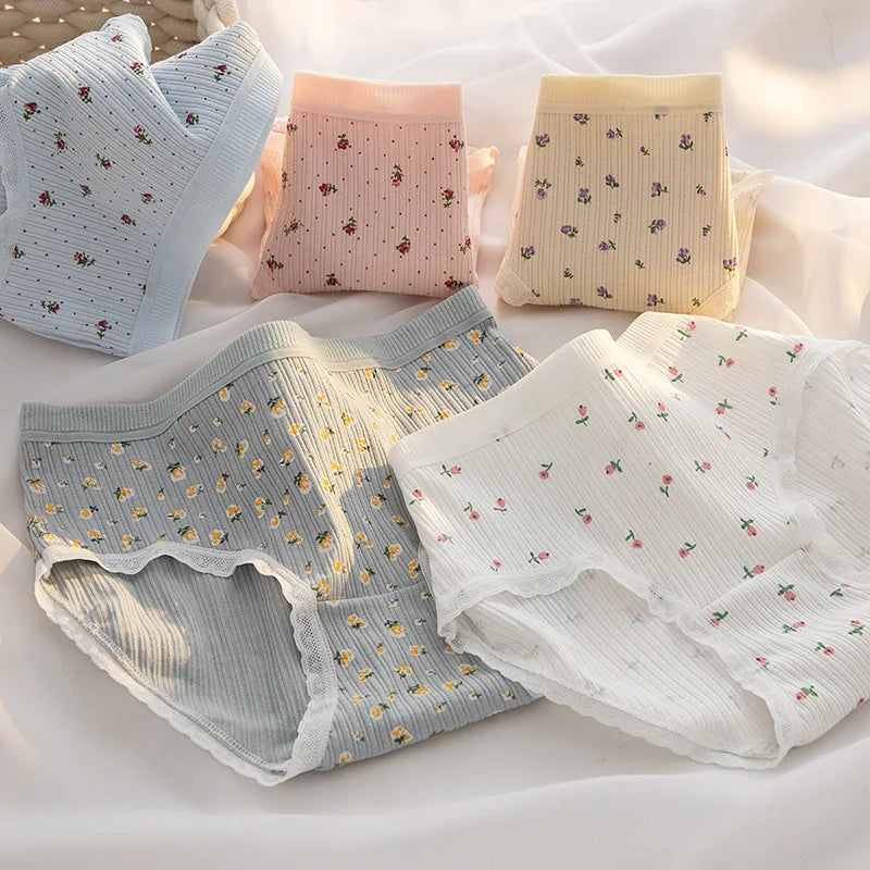 5-Pack Cotton Panties for Women - Plus Size Cute Soft Briefs Sexy Lingerie - 21 / M / 1pc - Women’s Clothing &