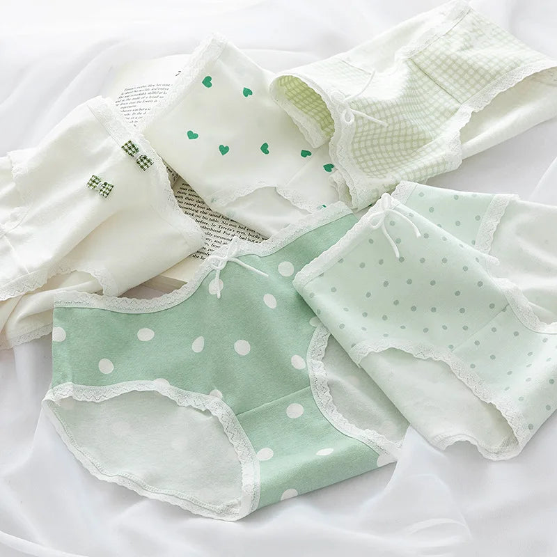 5-Pack Cotton Panties for Women - Plus Size Cute Soft Briefs Sexy Lingerie - 20 / M / 1pc - Women’s Clothing &