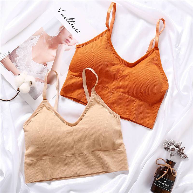 Women’s Fashion Crop Top - Women’s Clothing & Accessories - Shirts & Tops - 24 - 2024